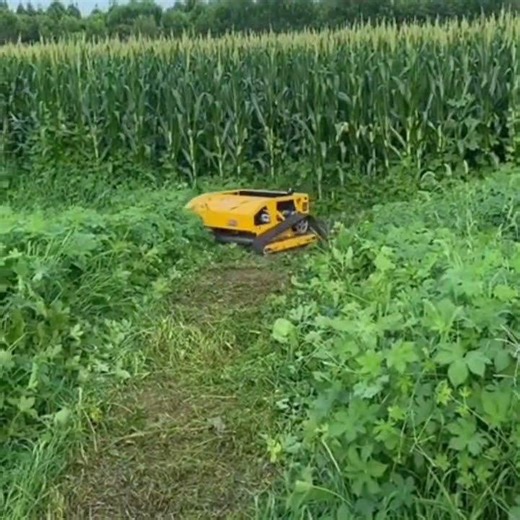 Remote Control Lawn Mower