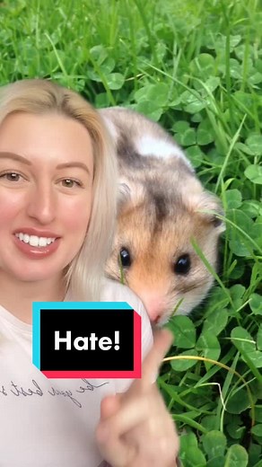 Recognizing Bad Hamster Care and Avoiding Common Mistakes