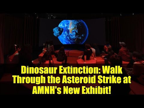 Dinosaur Extinction: Walk Through the Asteroid Strike at AMNH's New Exhibit!