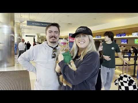 Transforming Lives Through Maine Coon Adoption: Happy Endings