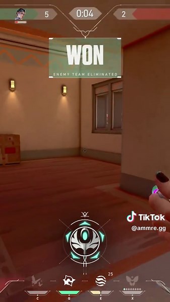 Mauspad-Probleme beim Valorant Spielen