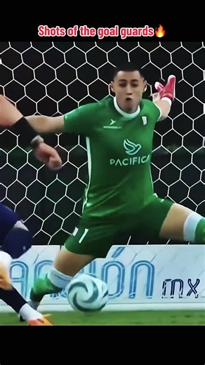 Goal Guards Highlights from Germany