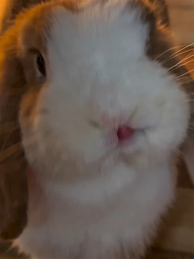 Bleh😝