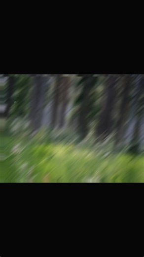 do these count as new reaction pics 🧐 #yidhari #zzz #zzzero #zenlesszonezero #zenlesszonezeroedit