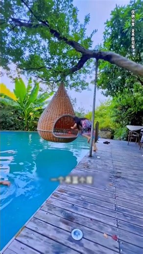 The Bird Nest Adventure! New Viral Gadgets, Smart Appliances, Kitchen Utensils/Home Inventions