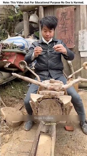 Building Wooden Log Cabin in Forest 🎄🎈 | Survival House Step by Step "9 #shorts #facts