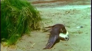 18 News Channel on Reels