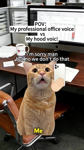 My professional office voice vs my hood voice #catmeme #catsoftiktok #pov #work #realatable