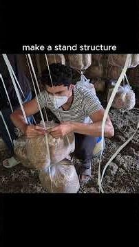 Day-6 Mushroom Training🍄😍 #mushroomfarming#short #viral