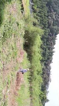 草刈り機作業便利屋なんでもやコツ連続リズム効率アップ動画映像【切り抜き】