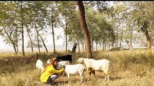 16K views | इस लड़की के कारनामे देख कर दंग रह जाएंगे , सांच घटना Viral Video | MMB FILMS | Facebook