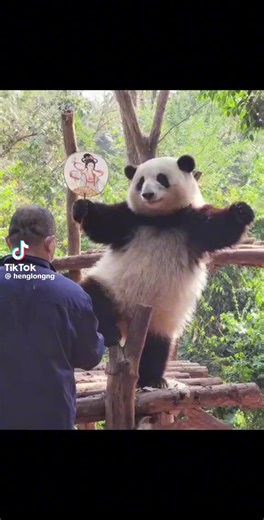 SIS SIONG (@sis.siong)’s videos with 原声 - SIS SIONG