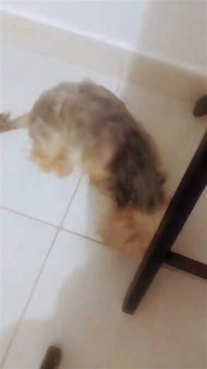 3 de dezembro de 2025