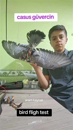 Gerçek bir güvercin gibi görünen ama içinde kamera ve robotik sistem bulunan bir uçan casus güvercin yaptım. 🕊️🤖📷 En dikkat çekici kısmı ise kanatları… Gerçek güvercin kanadından yararlanarak tasarladım ve mümkün olduğunca gerçek bir kuş görünümü vermeye çalıştım. Kameralı sistem sayesinde havadan görüntü alabilen bu robot güvercin, doğayı taklit eden ilginç bir DIY projesi oldu. Sizce uzaktan bakınca gerçek bir güvercinden ayırt edilebilir mi? 👀 #RobotGüvercin #DIY #CasusGüvercin #keşfet #a