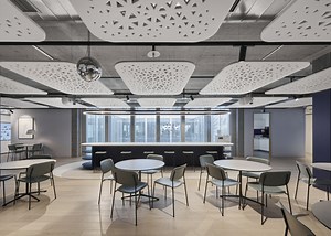 Forest | Impact Acoustic