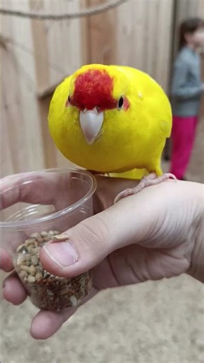 24 марта 2026 г.