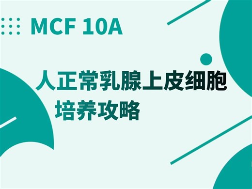 MCF10A细胞培养攻略