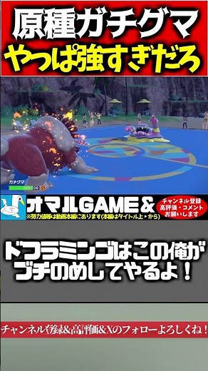 原種ガチグマやばすぎるｗ【 ポケモン ガチグマ 原種 pokemon ゼロの秘宝 蒼の円盤 】#shorts