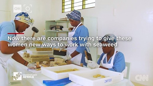 3.5K views · 114 reactions | Women take on much of the labor to farm seaweed in Zanzibar. Now, a local company is expanding their opportunities to turn these plants into a more profitable future. | CNN Africa | Facebook
