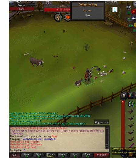BEEF! New cow boss pet !!! #osrs #brutus #oldschoolrunescape #pet