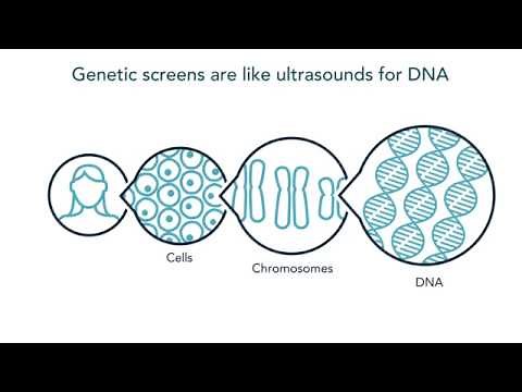 Genetic Screening Overview Patient Education Animation