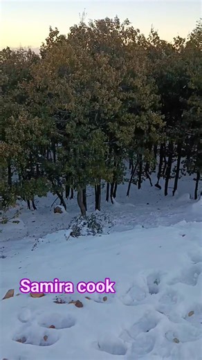 Samira Cook on Reels