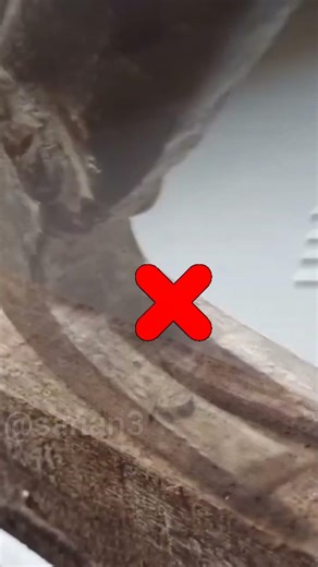 Remove Nails Without Damaging Wood