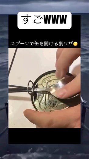 缶詰の開ける裏ワザがすごいwww #雑学 #豆知識 #眠る #動物 #おもしろ #面白い #ネタ #anime #お金 #癒し #あるある #おすすめ #昆虫 #お笑い #birdsong