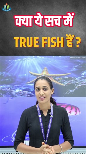 True Fish आखिर क्या होती हैं? 🤔 | Fish Classification Explained #jet #cuet #icar