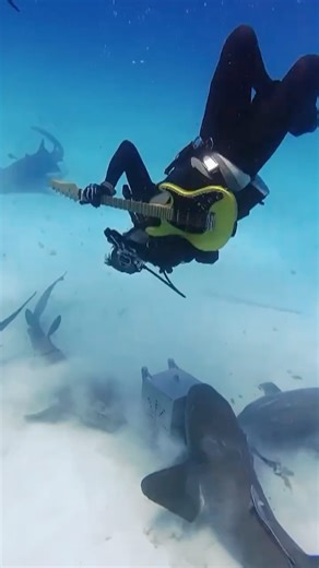 Shark Week on Instagram: "This shark routine was ROCKIN' 🎸🦈 Catch the final performances happening NOW during #SharkWeek's Dancing with Sharks on @Discovery!"
