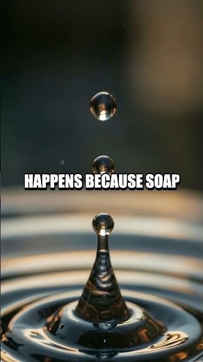 The Paper Boat Surface Tension Race