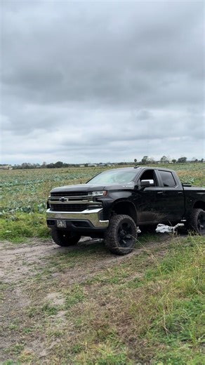 Creative Truck Designs: A Look at Unique Customizations