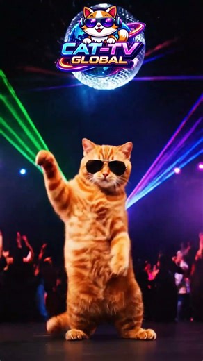 Cool Dancing Cat Goes Viral 🕺🐱 | Funniest Cat Dance Ever! #funnycats