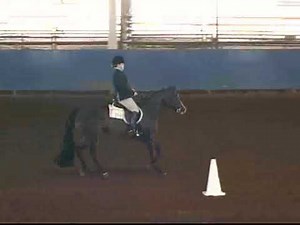 4-H Horse Judging-Hunt Seat Equitation