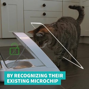 Stop pets stealing each others’ food! 🐱 | Sure Petcare