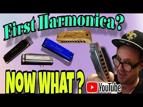 First Harmonica! Now What? 🎵 (Beginner's FIRST LESSON!)