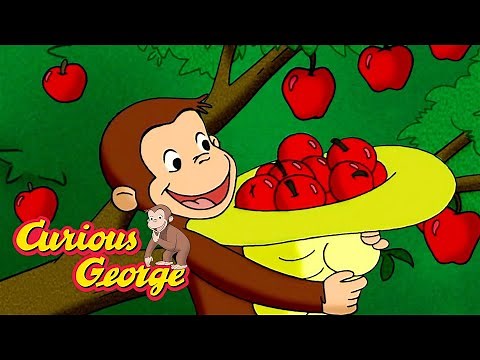 Apple Picking Monkey 🐵 Curious George 🐵 Kids Cartoon 🐵 Kids Movies