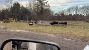 Pete Peterson on Reels