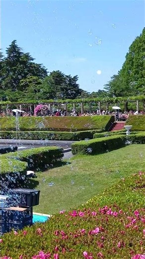 噴水の周り4箇所で シャボン玉発生機が稼働してました。