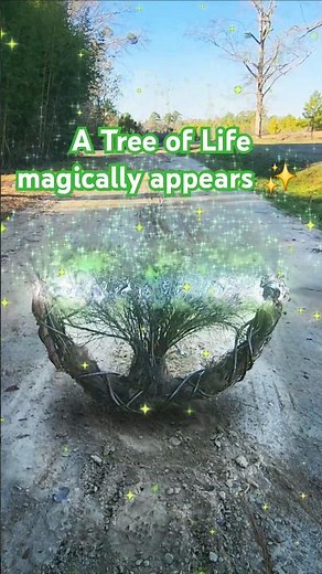 A Tree of Life wreath crafted by The Grapevine Lady magically appears! ✨️#wreath #short #treeoflife