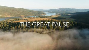 The Great Pause