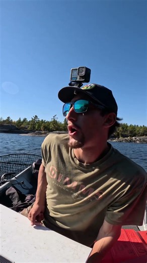 Best part of the job #releasing #muskyfishing #fyp