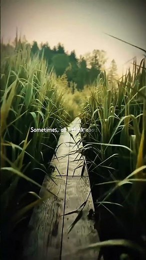 Heat Waves - Glass Animals | lyrics | aesthetic | whatsapp Status | English songs | slowed | sped up