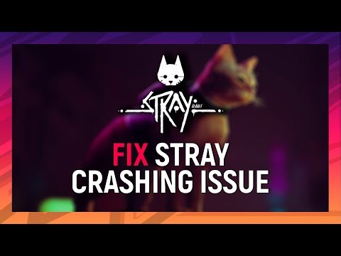 How to Fix Stray Crashing Issue