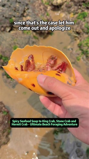 Ultimate Beach Foraging Adventure: Spicy Seafood Soup