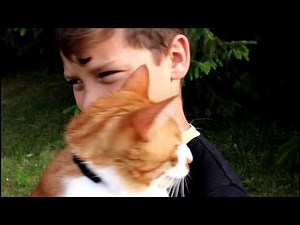 Yanis a perdu son chat ! ( weenectcats)