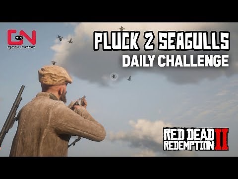 RDR2 Online - Pluck 2 Seagulls - Daily Challenge