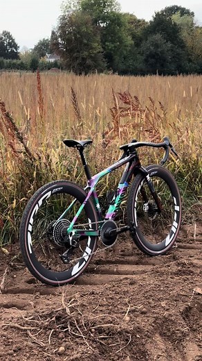 Exploring the Grail CFR: A Canyon Experience