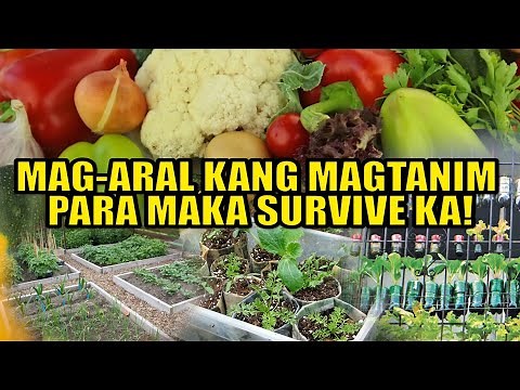 Mga TAMANG PARAAN sa PAGTATANIM ng IBA'T-IBANG GULAY at HALAMAN ALAMIN | Karanasan Channel