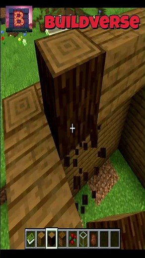 Building a Mini Biome for a Bear in Minecraft! 🐻🌲 #minecraft #minecraftbuilding #minecraftideas
